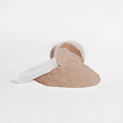 SAI Plant Protein (Chocolate) - SAI